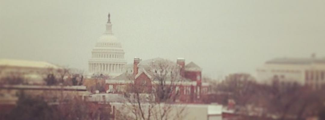 the view