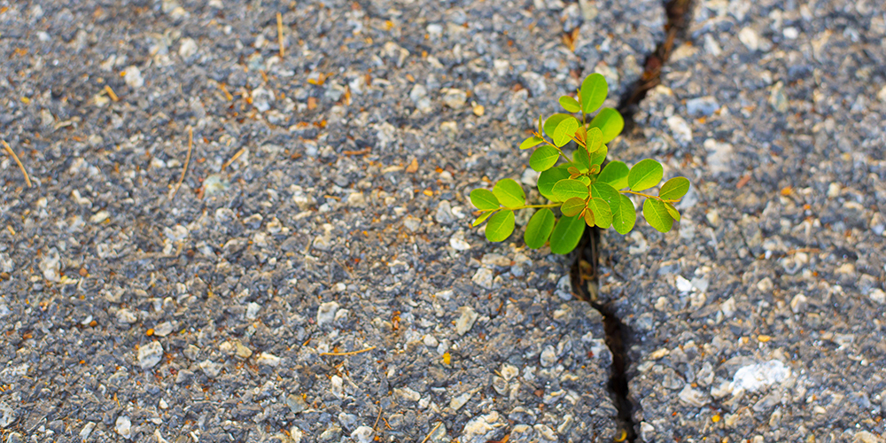 Developing Resilience